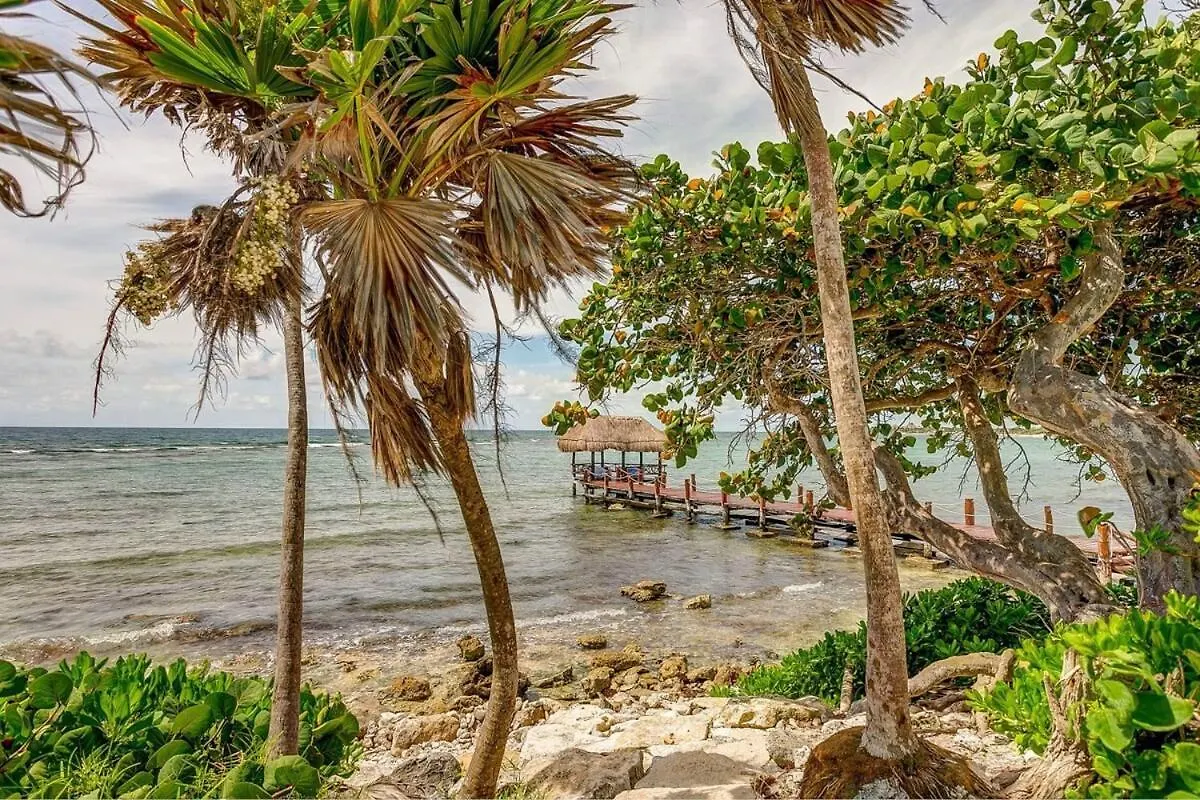 Luxury Studio With Rooftop Pool And Seaview Balcony Akumal Mexiko