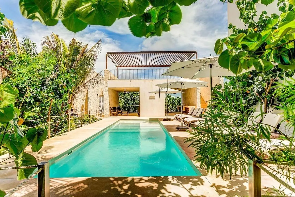 Luxury Studio With Rooftop Pool And Seaview Balcony Akumal Holiday home
