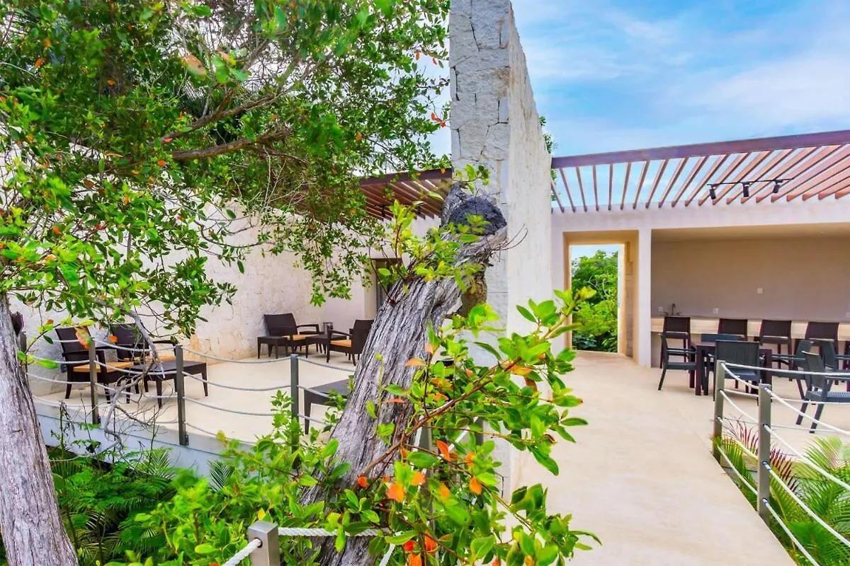 Luxury Studio With Rooftop Pool And Seaview Balcony Akumal 0*,