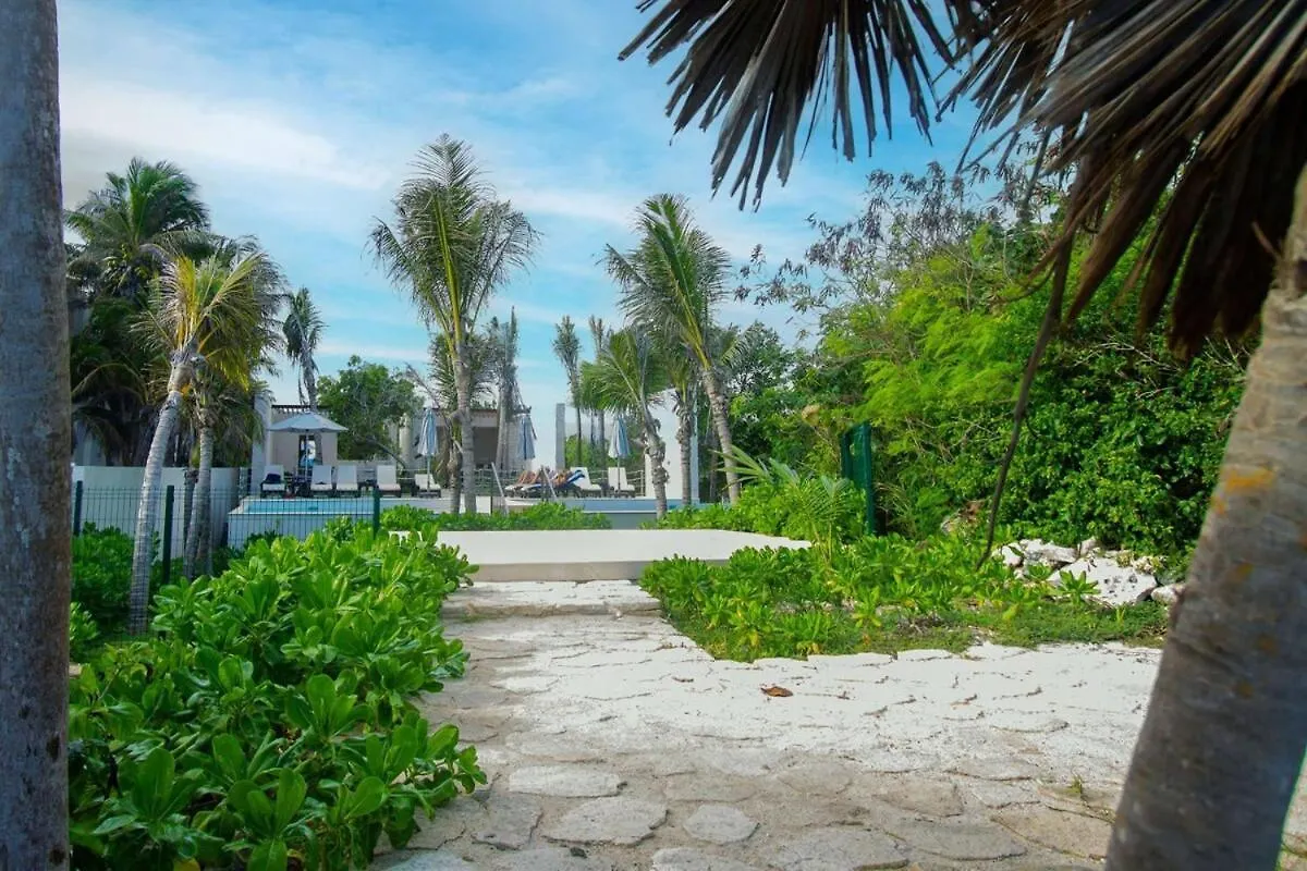 Luxury Studio With Rooftop Pool And Seaview Balcony Akumal Mexico